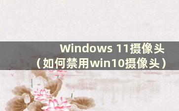Windows 11摄像头（如何禁用win10摄像头）